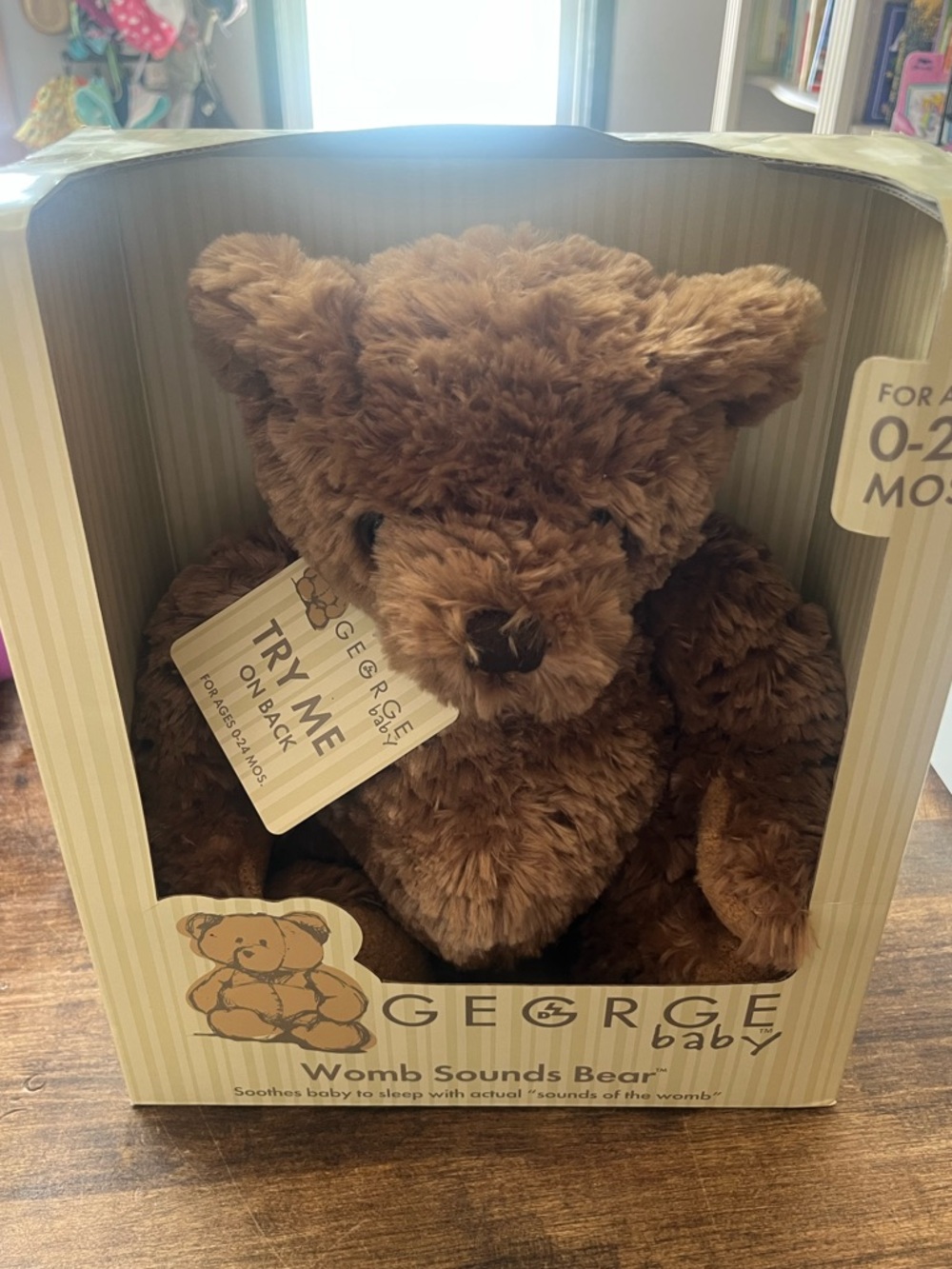 George Baby Womb Sounds Bear